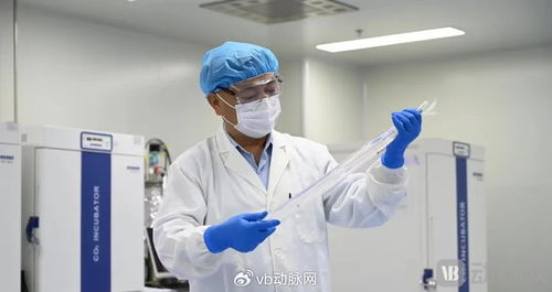 國產生物型人工血管獲創新通道認可，心血管治療迎來新突破